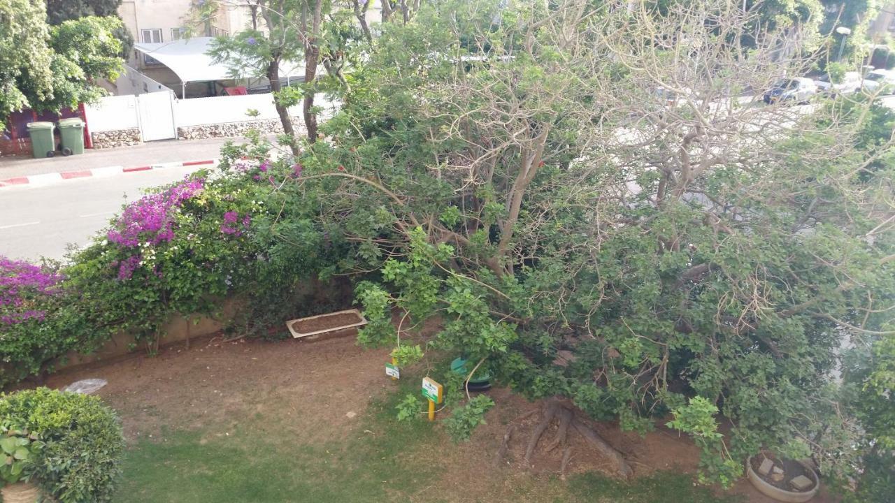 Herzliya Center Apartments Dış mekan fotoğraf